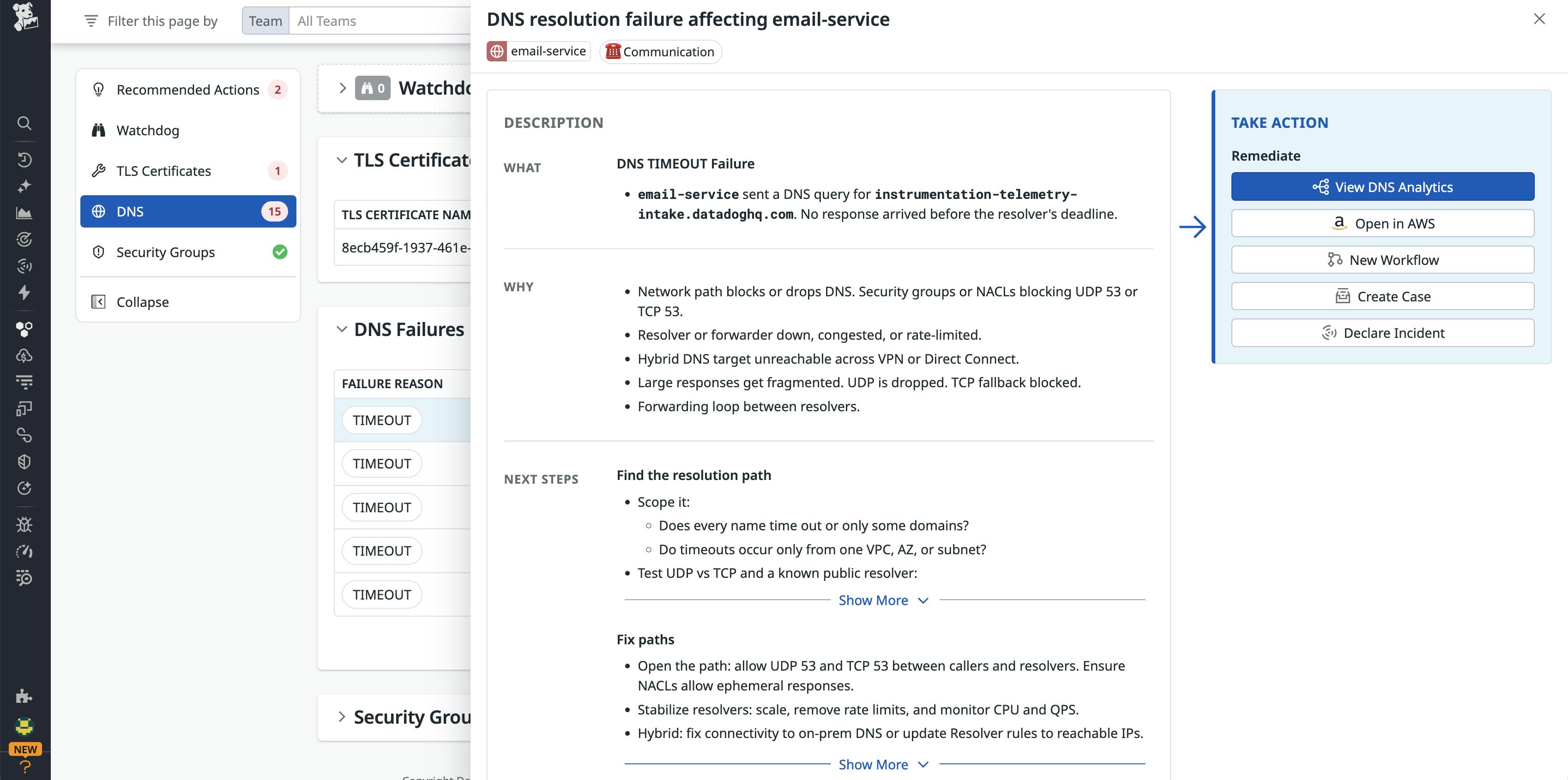 Network Health DNS timeout issue details for email-service with guided remediation actions.