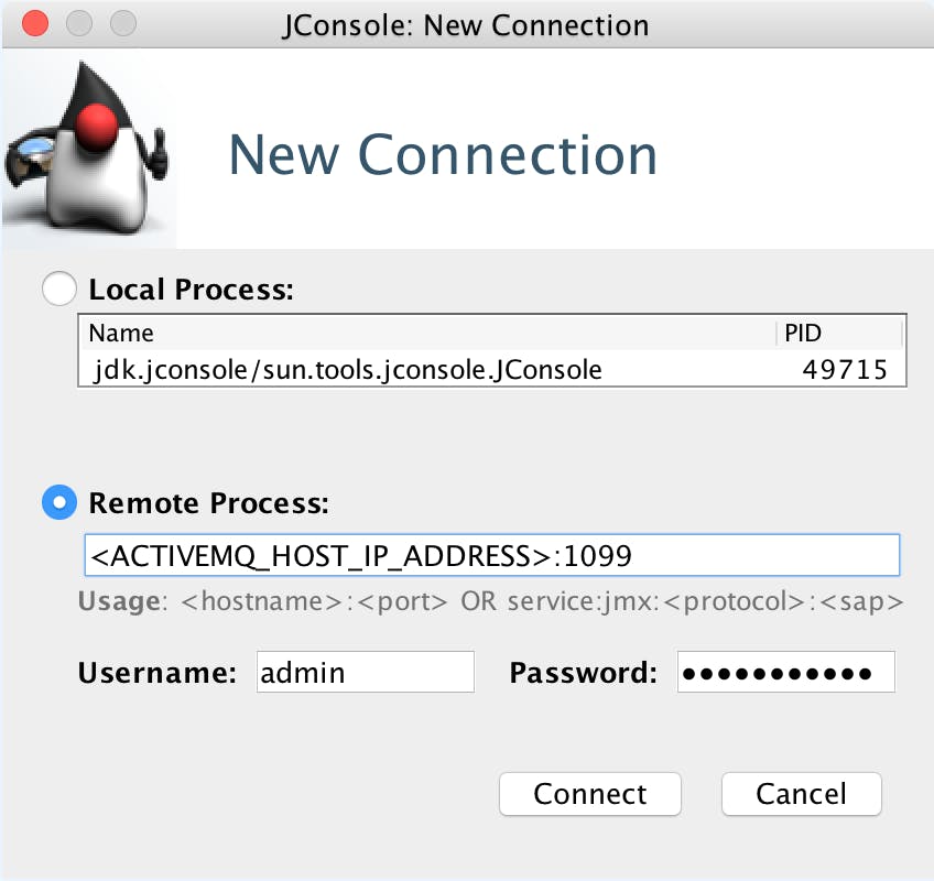 When JConsole opens, you can enter connection information for your ActiveMQ host.