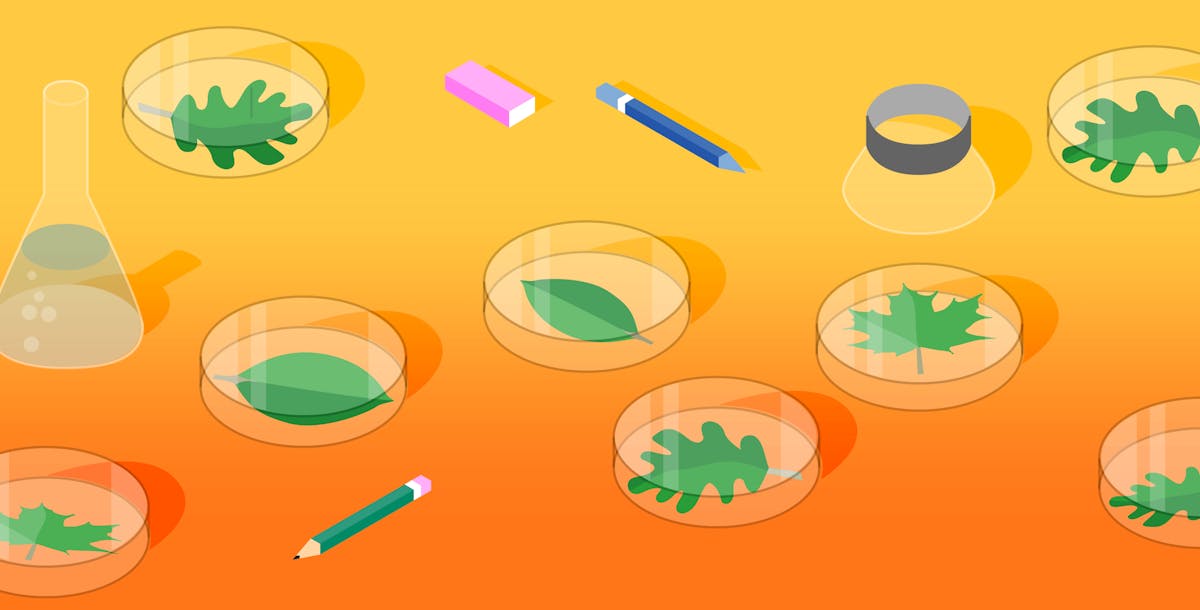 Collecting MongoDB metrics and statistics