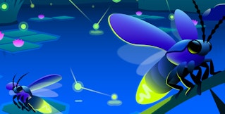 Key learnings from the State of Containers and Serverless report Key learnings from the State of Containers and Serverless report