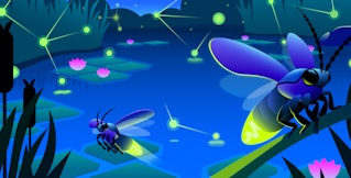 Key learnings from the State of Containers and Serverless report Key learnings from the State of Containers and Serverless report