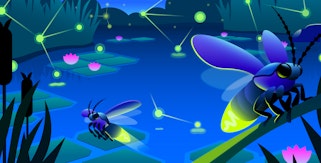 Key learnings from the State of Containers and Serverless report Key learnings from the State of Containers and Serverless report