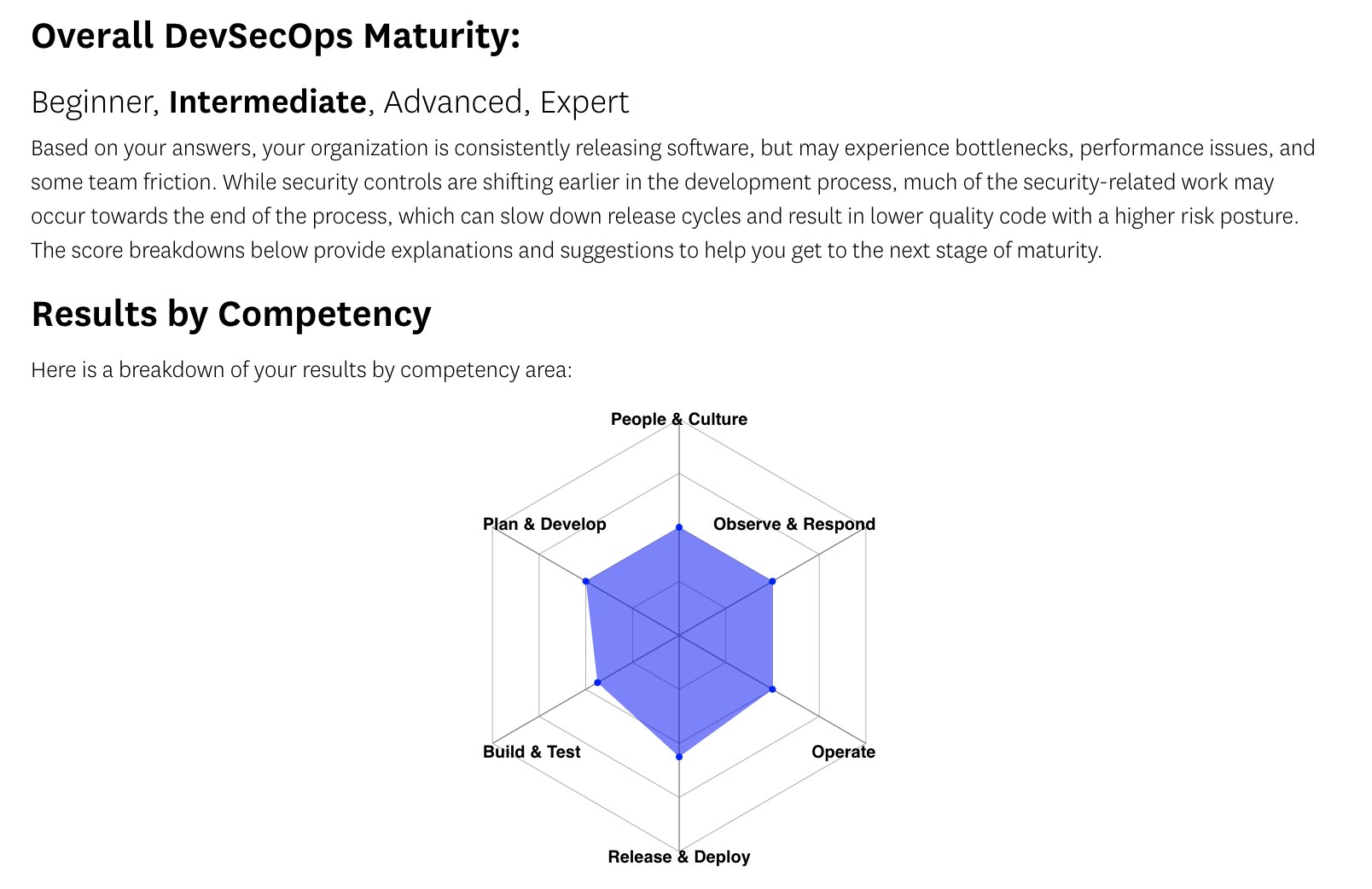 The results page for the self-assessment, which provides a breakdown of your organization's DevSecOps maturity. The results page for the self-assessment, which provides a breakdown of your organization's DevSecOps maturity.