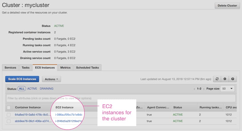 EC2 instances associated with an ECS cluster, making it possible to focus our ECS monitoring.