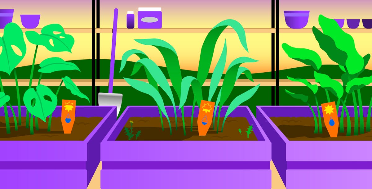 Fix common cloud security risks with the Essential Cloud Security Controls Ruleset