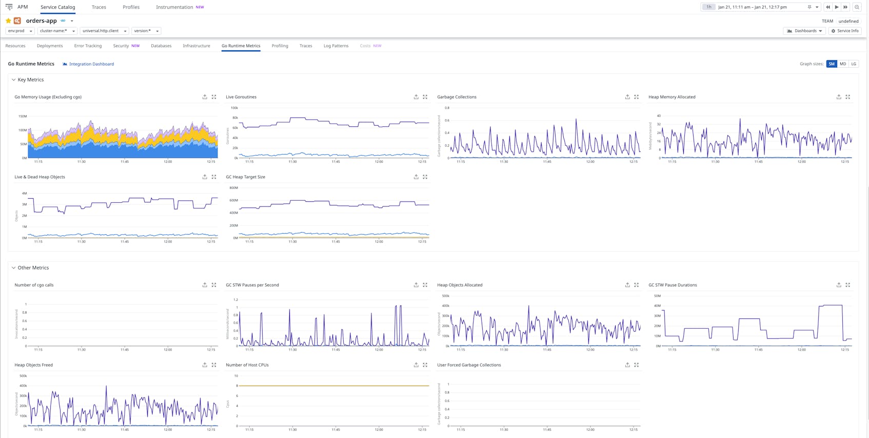 A dashboard of Go Runtime Metrics