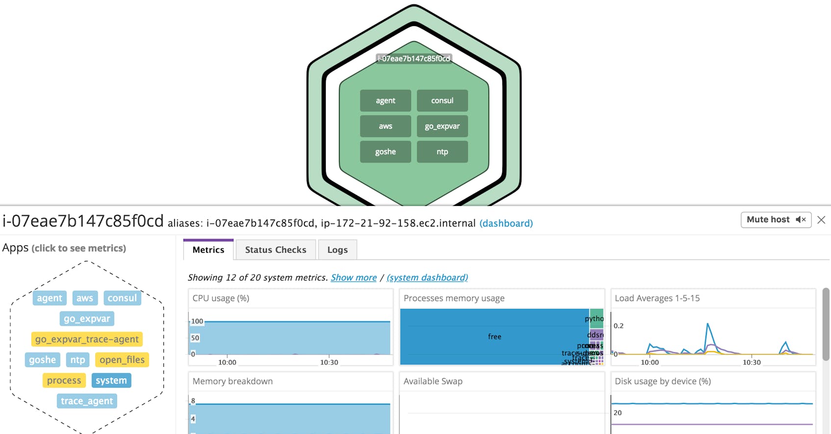 Zoomed in on a single host