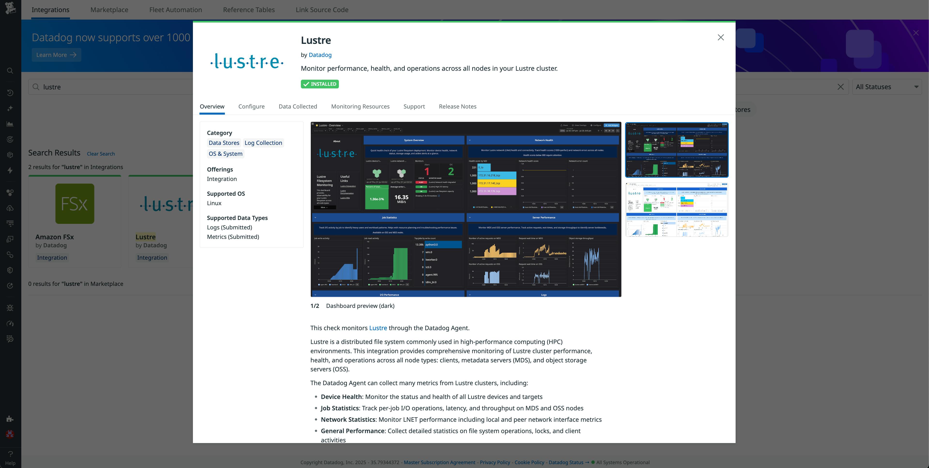 Screenshot of Datadog’s integration with Lustre.