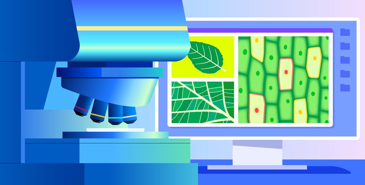 Get granular LLM observability by instrumenting your LLM chains