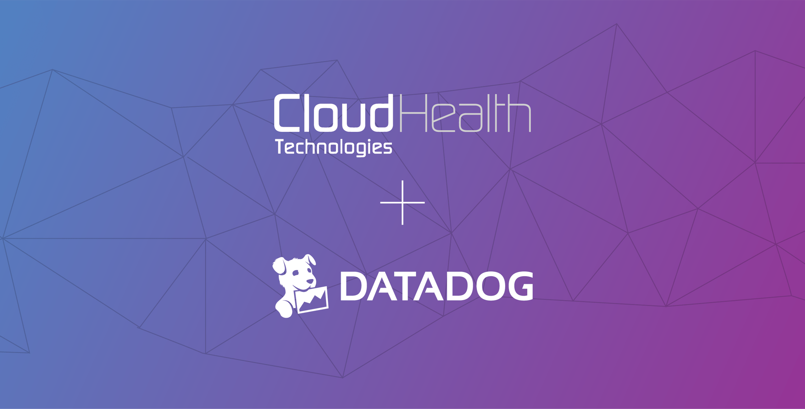 CloudHealth + Datadog: Effectively manage your cloud assets