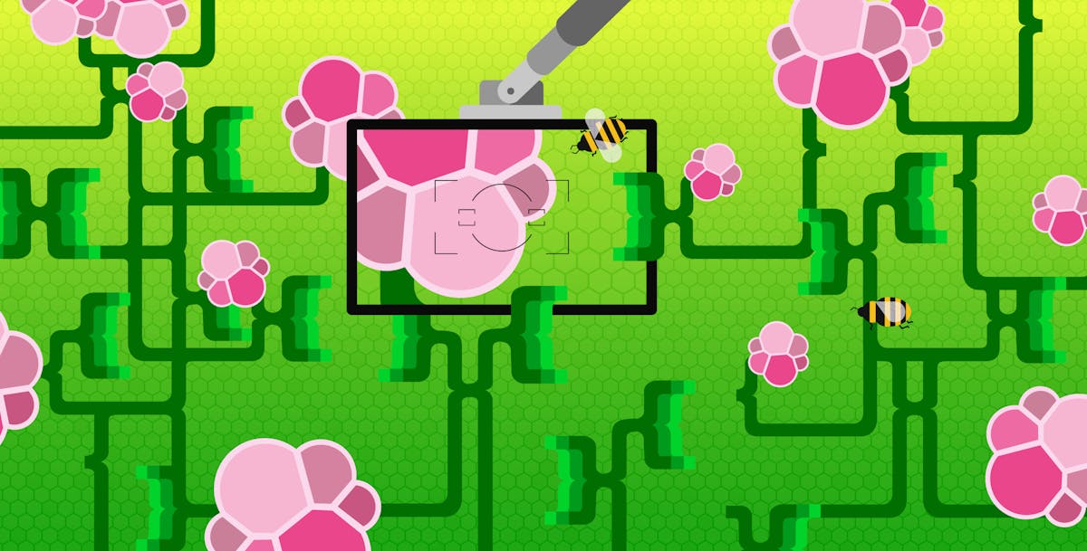 How to monitor Elasticsearch performance