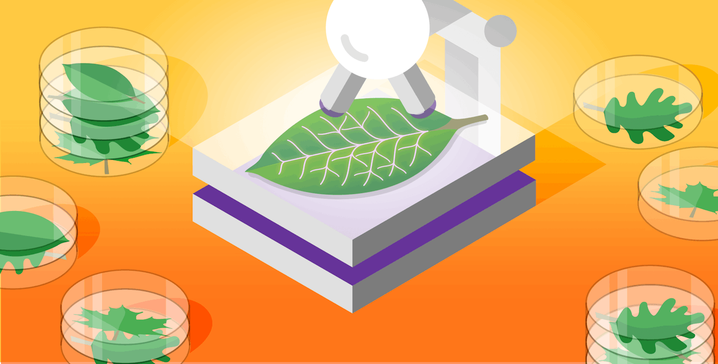 How to monitor MongoDB performance with Datadog How to monitor MongoDB performance with Datadog