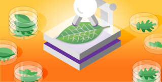 How to monitor MongoDB performance with Datadog How to monitor MongoDB performance with Datadog