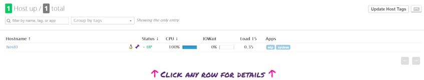 Reporting host in Datadog