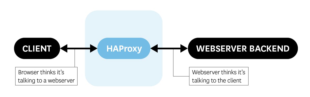 Monitoring HAProxy performance metrics