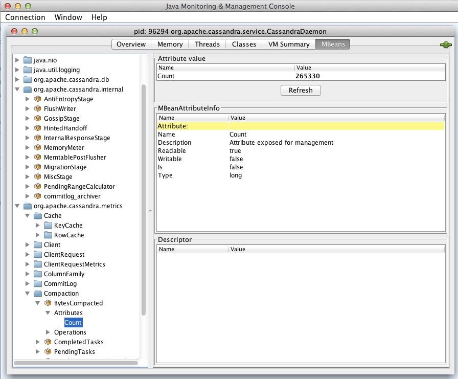 JConsole details JConsole details