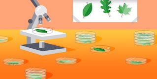 Monitoring MongoDB performance metrics (WiredTiger) Monitoring MongoDB performance metrics (WiredTiger)