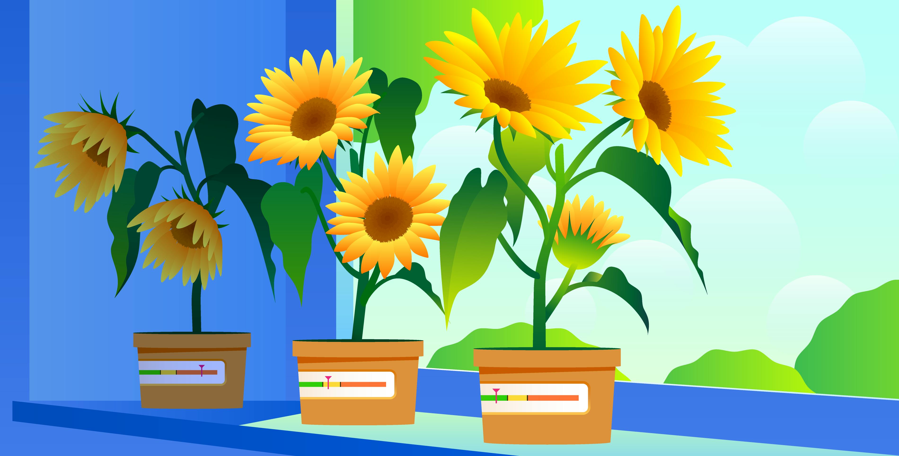 Monitoring single-page app interactivity with Core Web Vitals and Datadog