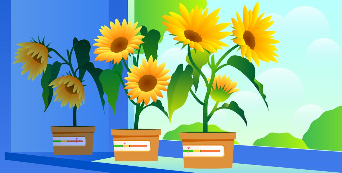 Monitoring single-page app interactivity with Core Web Vitals and Datadog