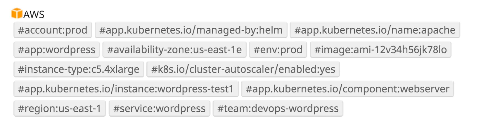 Best Practices for Tagging Your Infrastructure and Applications | Datadog