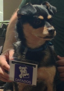 The real data dog at DevOpsDays The real data dog at DevOpsDays