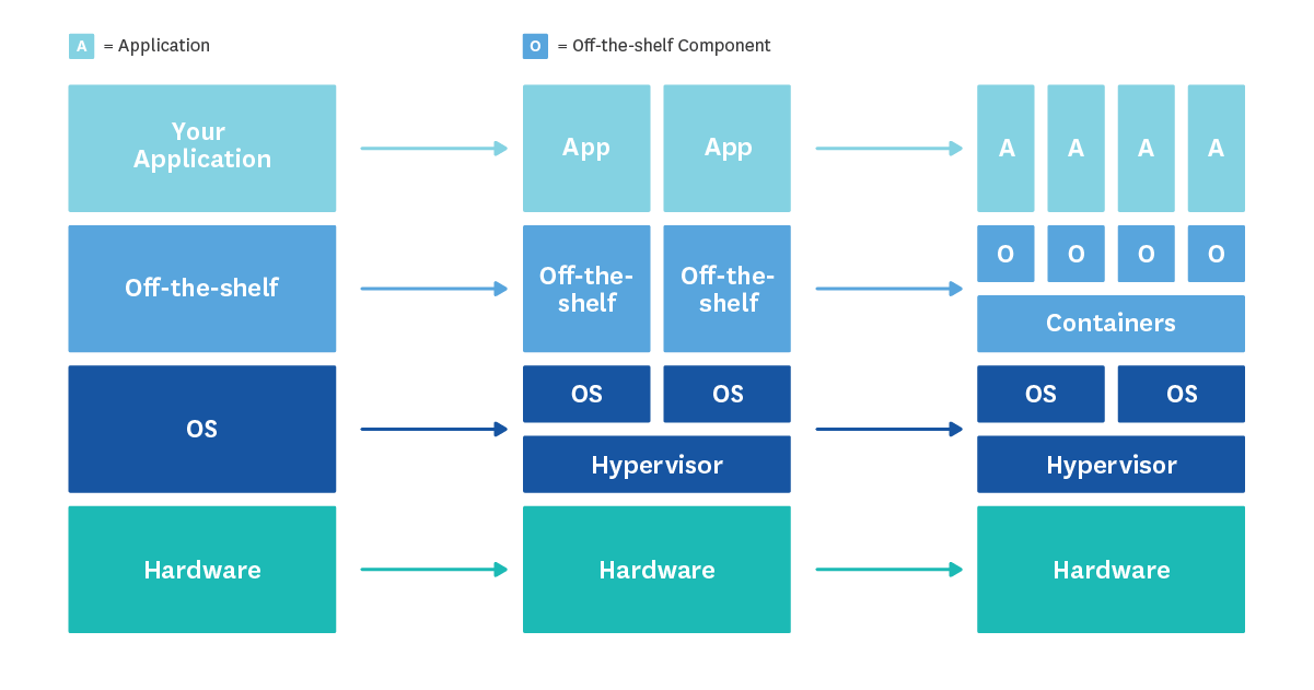 Host proliferation over time Host proliferation over time