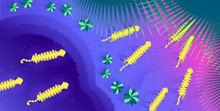 Key metrics for monitoring Tomcat Key metrics for monitoring Tomcat