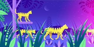 Collecting metrics with Tomcat monitoring tools Collecting metrics with Tomcat monitoring tools