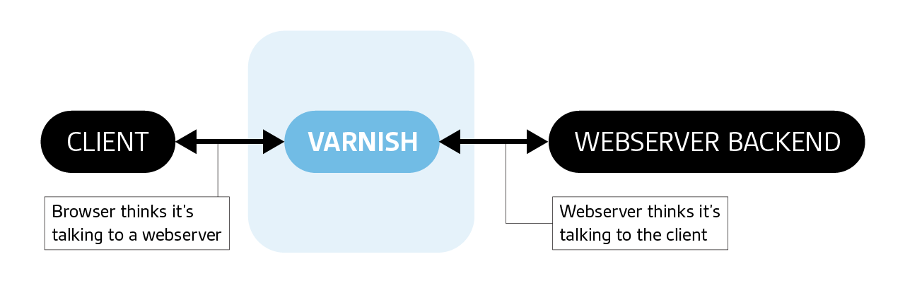 Varnish client backend Varnish client backend
