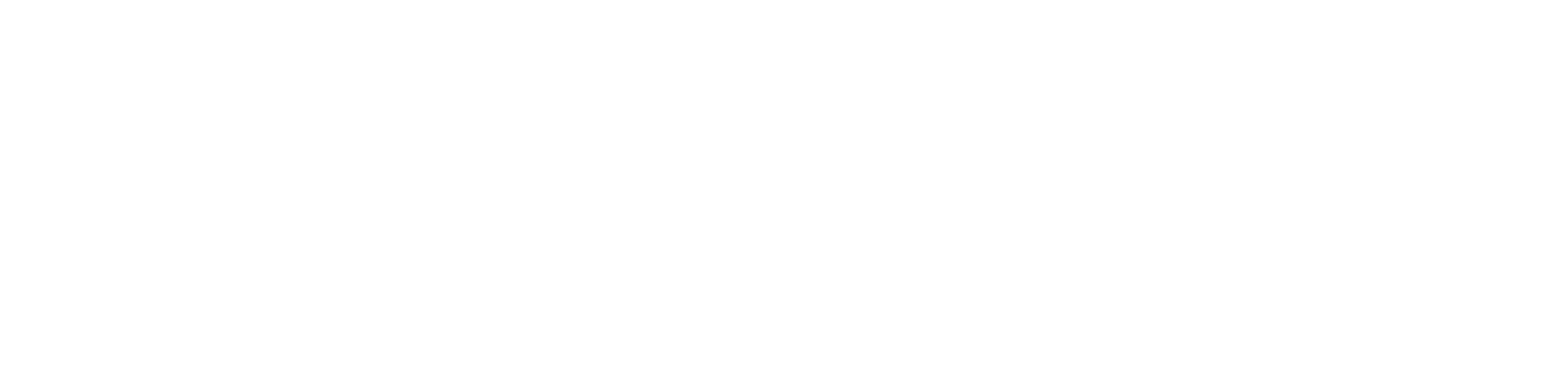 cto_connection_white_logo