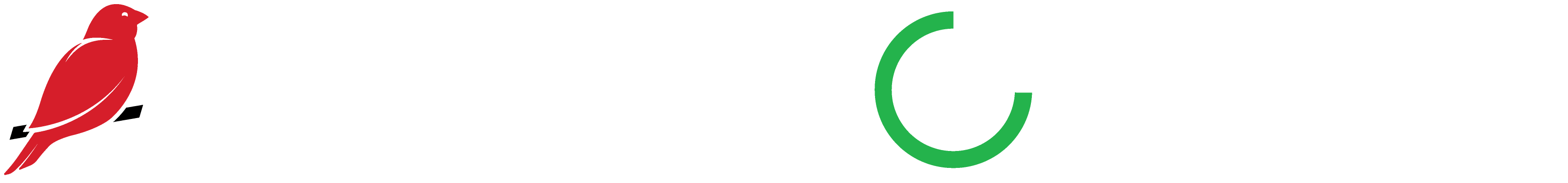 Datadog Detect header sub image