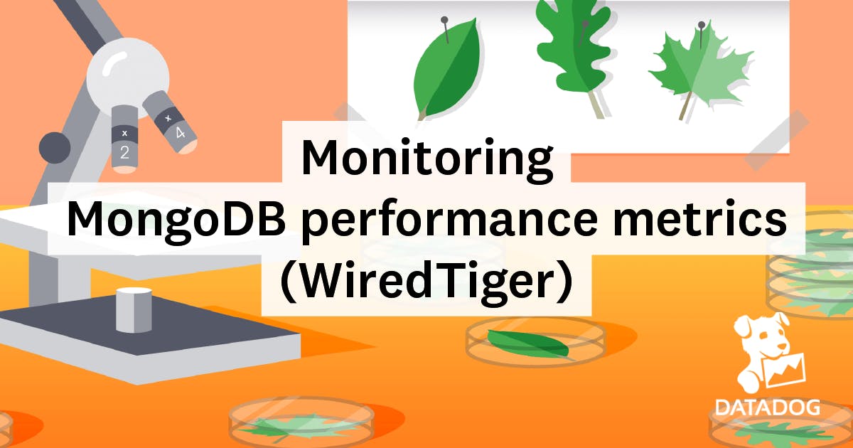 the mongo db optimizer is optimal the mongo db optimizer is optimal