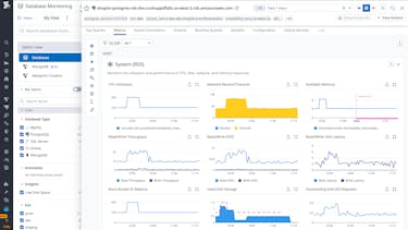 Strengthen database observability across teams in one platform Strengthen database observability across teams in one platform