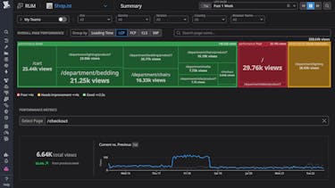 Identify, prioritize, and resolve critical issues affecting the user experience across your web applications