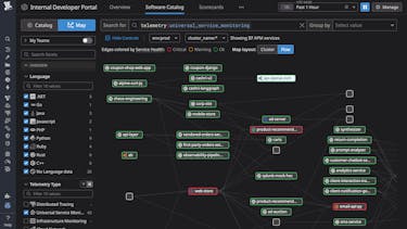Instantly discover, map, and monitor every service—without changing code